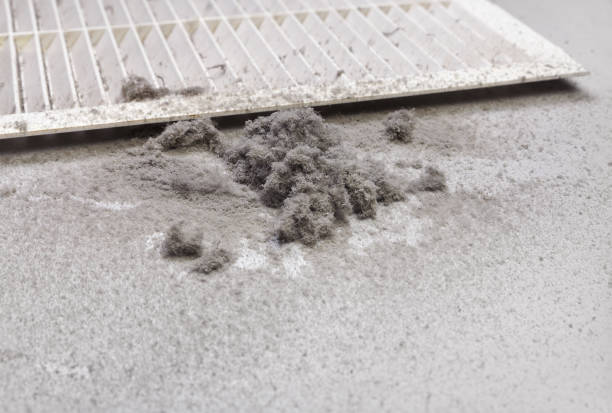 Best HVAC Duct Inspection Services  in Long Grove, IL