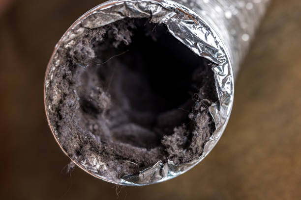 Best Dryer Vent Cleaning Services  in Long Grove, IL